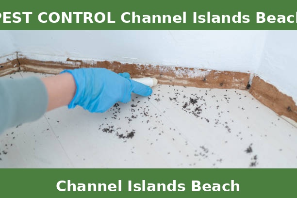 PEST CONTROL Channel Islands Beach